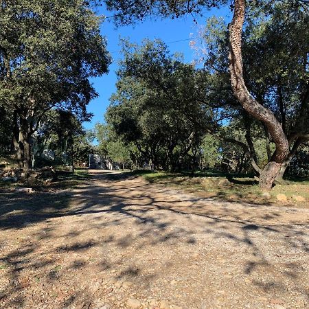 Pignan Les Terrasses Des Gardies Bed & Breakfast エクステリア 写真