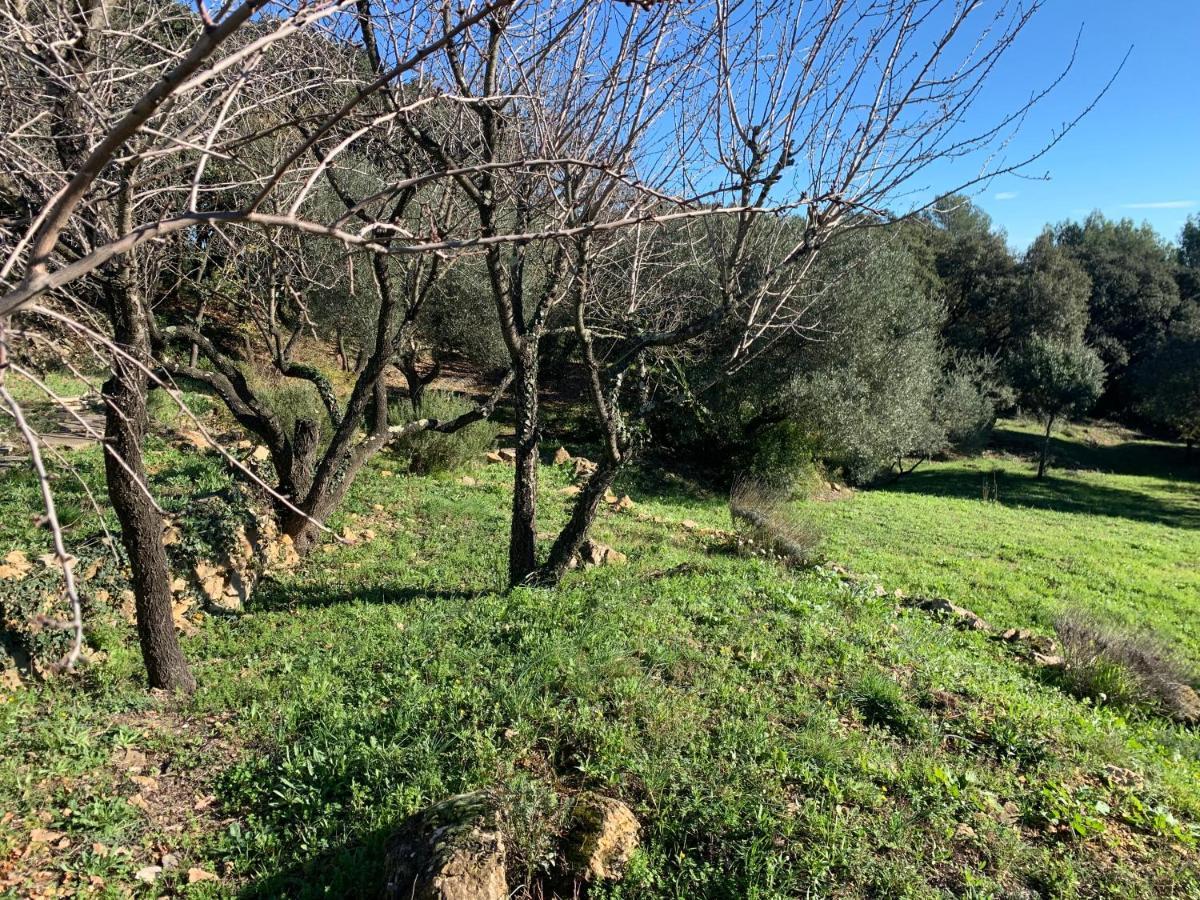 Pignan Les Terrasses Des Gardies Bed & Breakfast エクステリア 写真