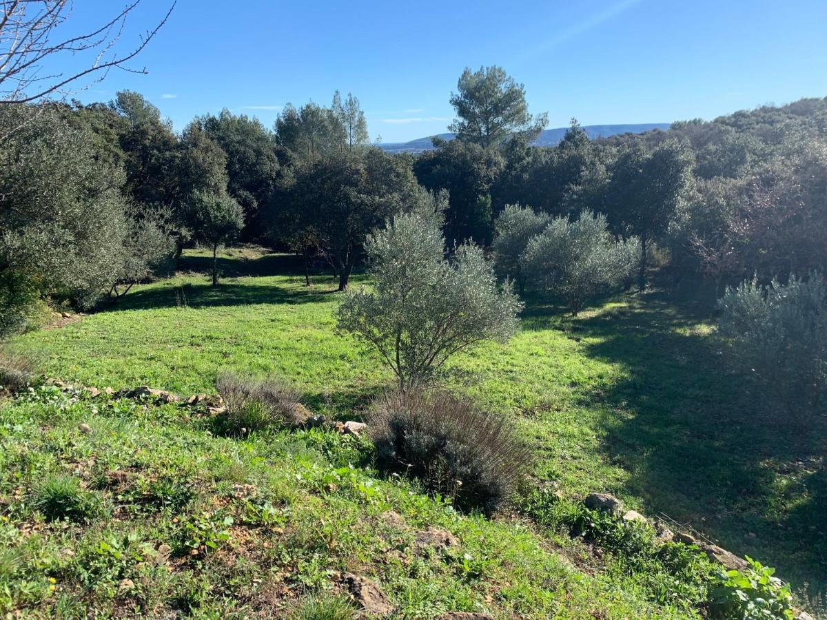 Pignan Les Terrasses Des Gardies Bed & Breakfast エクステリア 写真